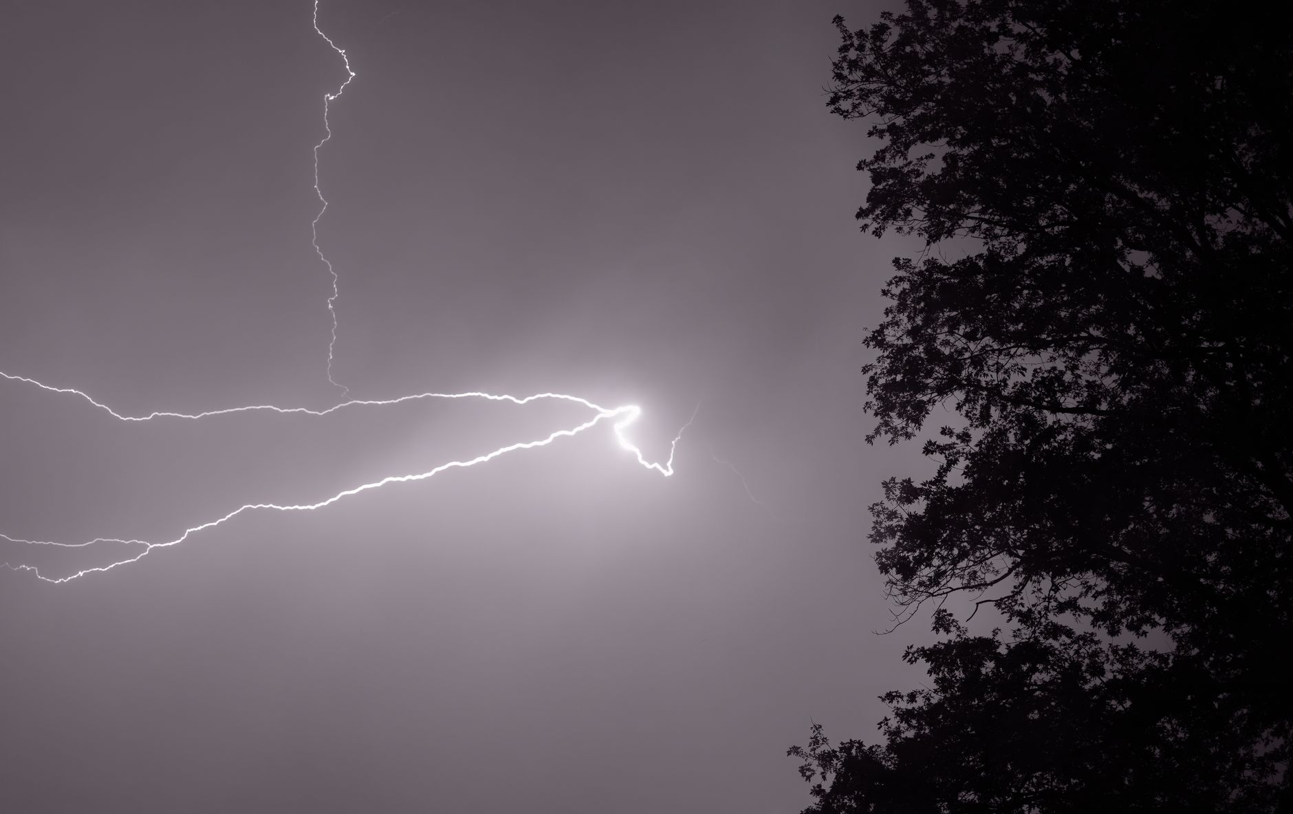 Captivating lightning bolt illuminating the night sky beside silhouetted trees.