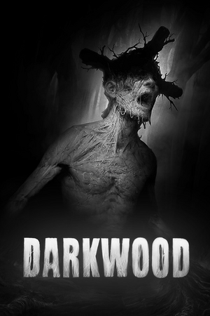 Darkwood – darkwood progression tips