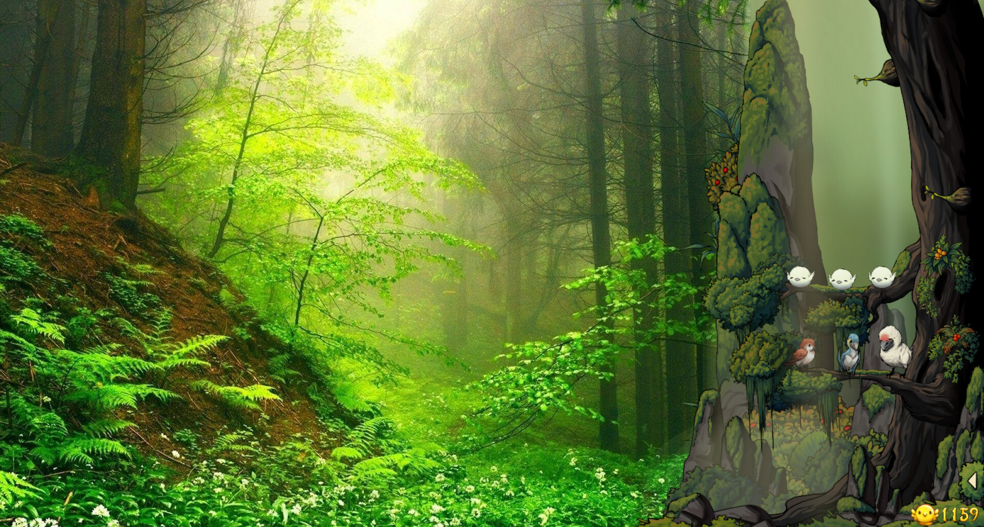 Fantasy Bird Woods – Fantasy Bird Woods key