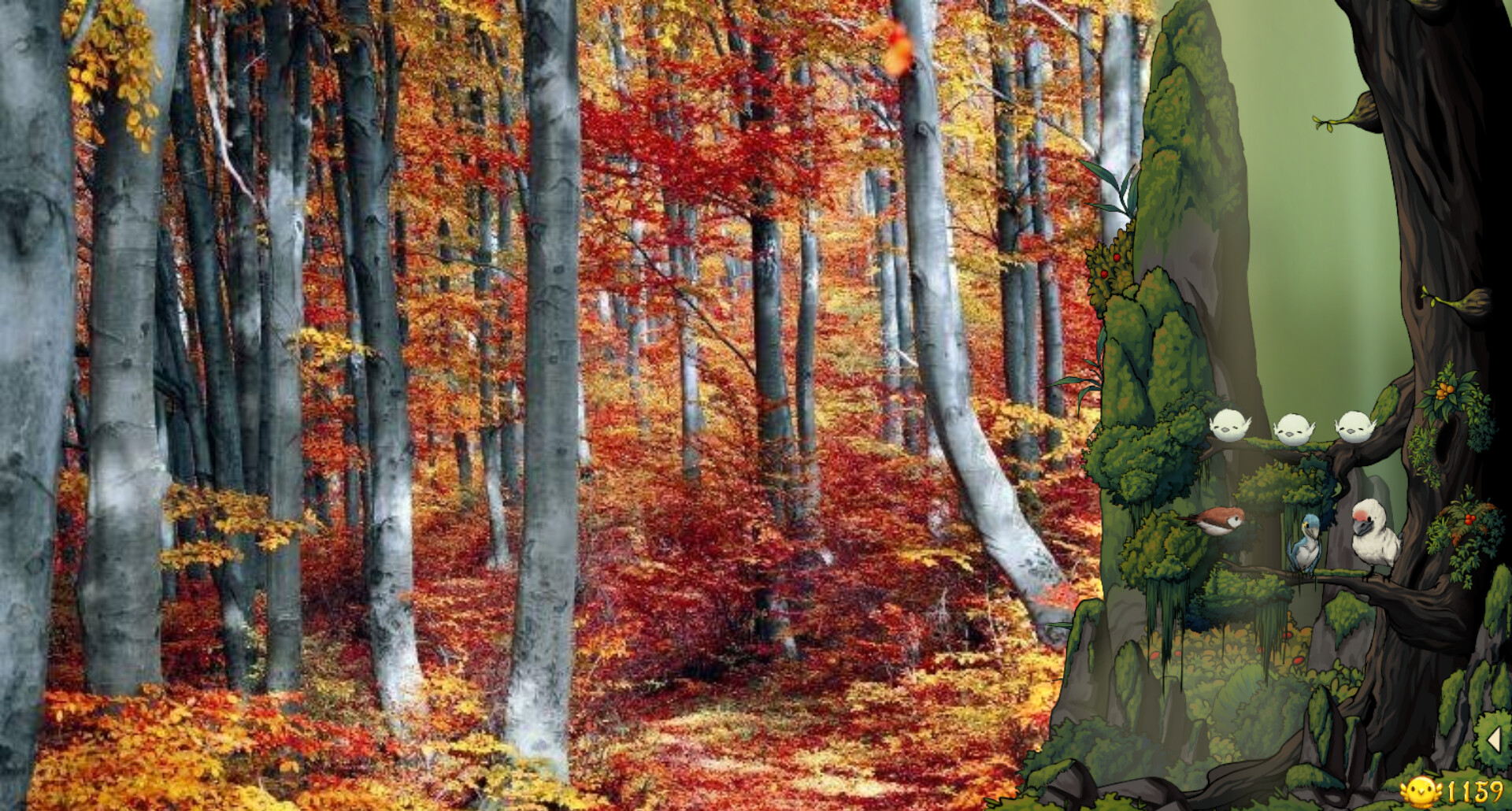 Fantasy Bird Woods